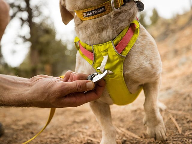 Ruffwear Hi & Light sele, Lichen Green