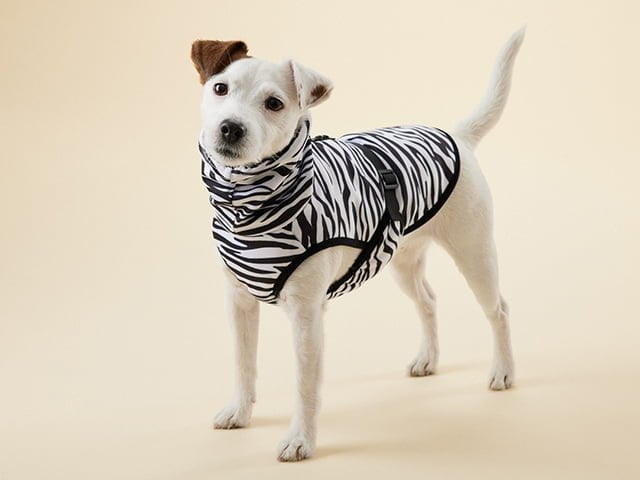 Paikka Cool&Bug vest