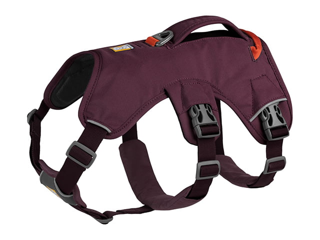 Ruffwear Web Master sele, Purple Rain