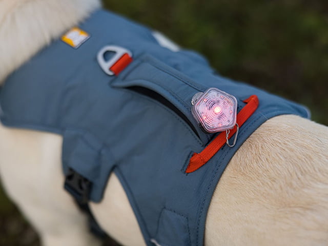 Ruffwear Web Master sele, Slate Blue