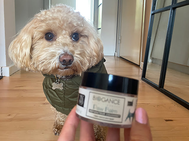 Biogance Paw Balm, 50ml