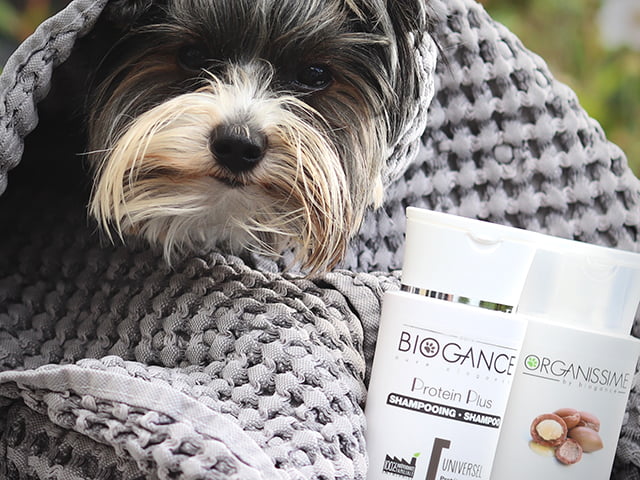 Biogance Dog Protein Plus shampoo, 250ml
