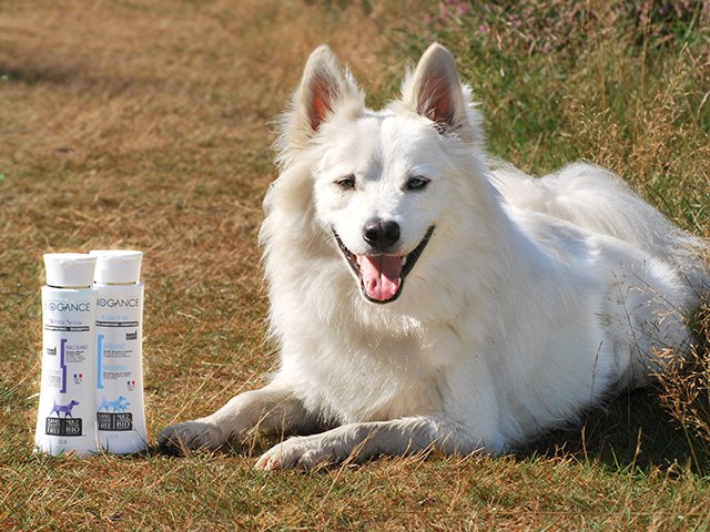 Biogance Dog Gliss Hair conditioner