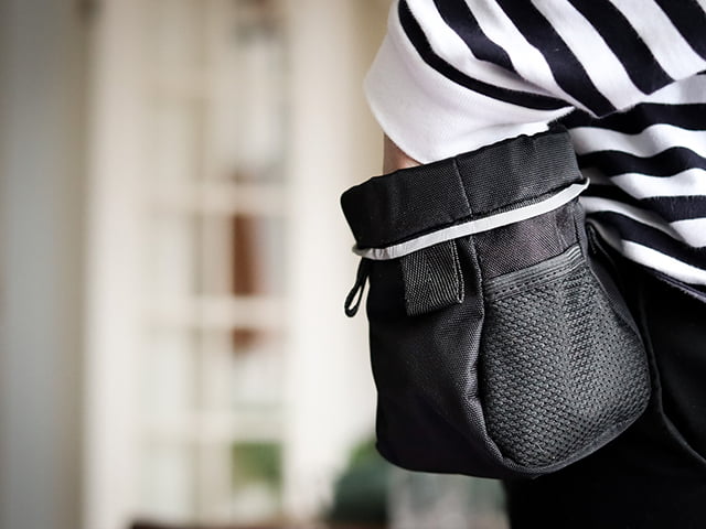 Fenriz by JJ Godbidstaske