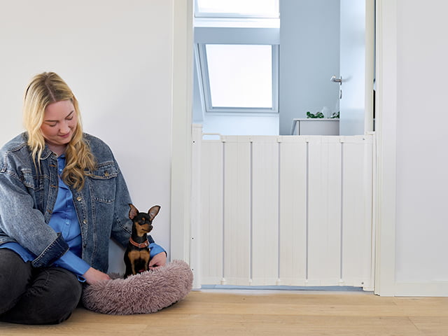 Dogspace Marley Extend a Guard