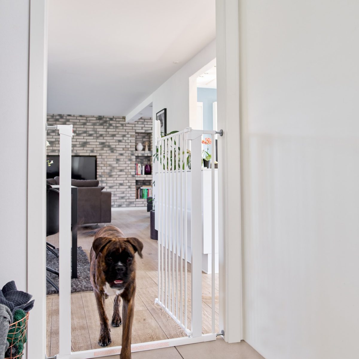 DogSpace Bonnie extra tall Pressure Fitted Pet gate, white