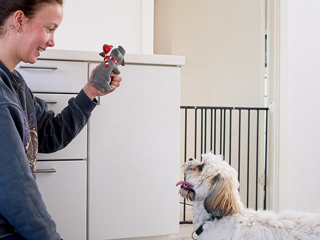 DogSpace Lucky extenting Pet gate, black