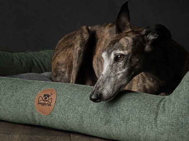 Swaggin Tails Sömning Hundeseng, Forest Green