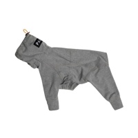 Paikka Recovery overall