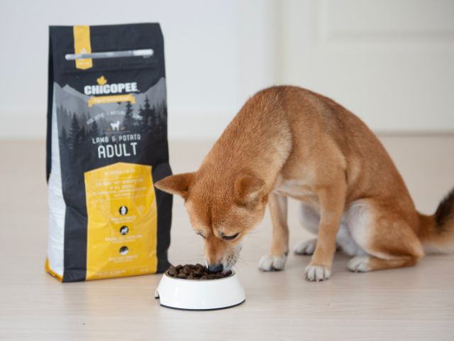 Chicopee HNL Adult Lam & Kartoffel