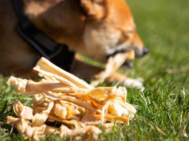 Tikki lamme hovedhud, 200g