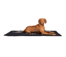 Dirty Dog Doormat Runners, 76x152cm, Black Hue