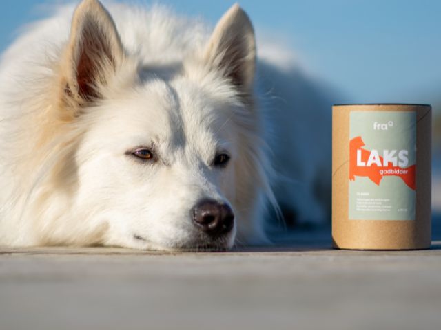 fraQ Godbidder med Laks, 210g