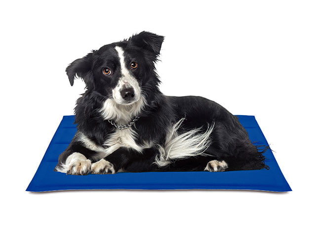 Nayeco Kølemåtte, blå