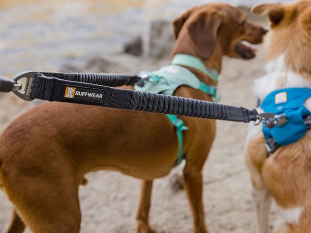 Ruffwear Double Track Coupler