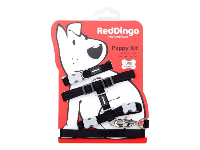 Red Dingo Hvalpesæt, sort