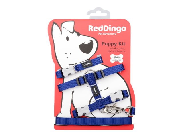 Red Dingo Hvalpesæt, blå