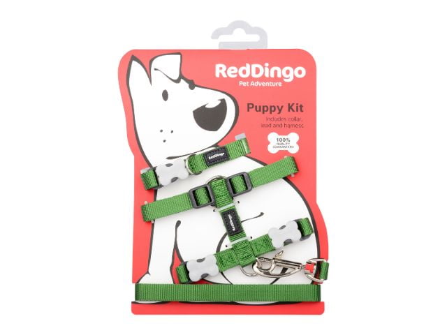 Red Dingo Hvalpesæt, grøn