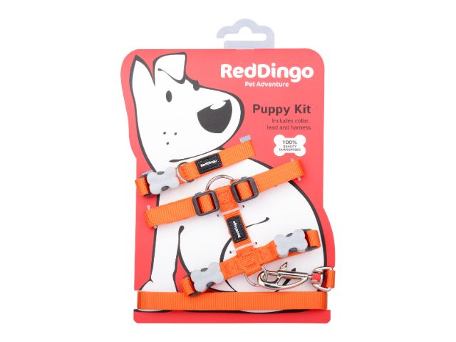 Red Dingo Hvalpesæt, orange