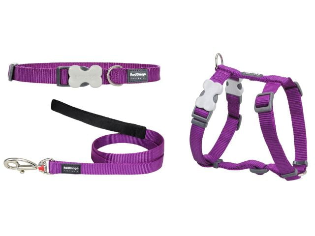 Red Dingo Hvalpesæt, lilla