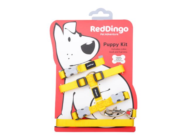 Red Dingo Hvalpesæt, gul
