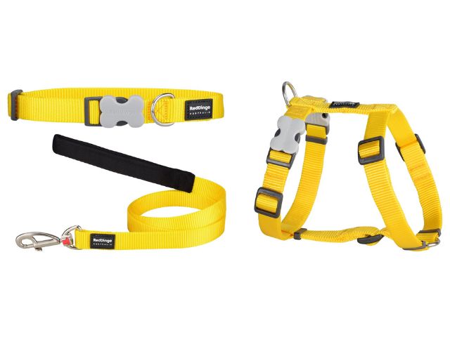 Red Dingo Hvalpesæt, gul