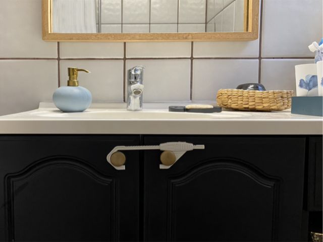 DogSpace Puppy Starter Kit