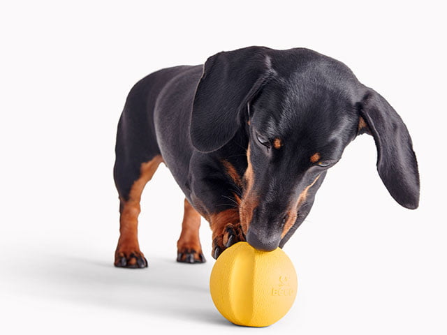 Beco Natural Rubber Bold, gul