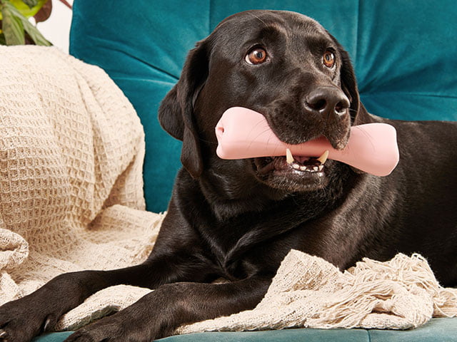 Beco Natural Rubber Ben, lyserød