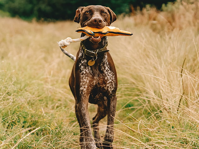 Beco Rough & Tough Kænguru