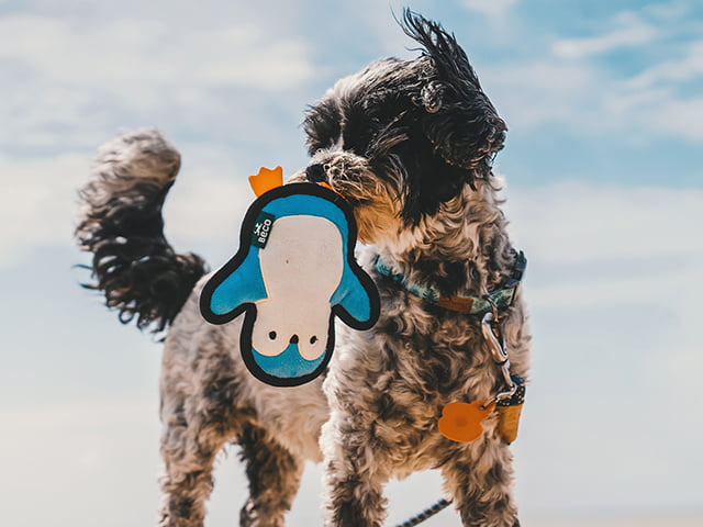 Beco Rough & Tough Pingvin