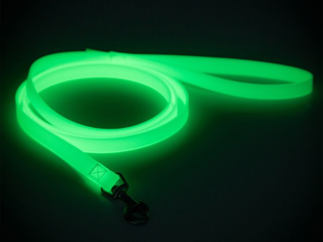 Paikka Glow Leash