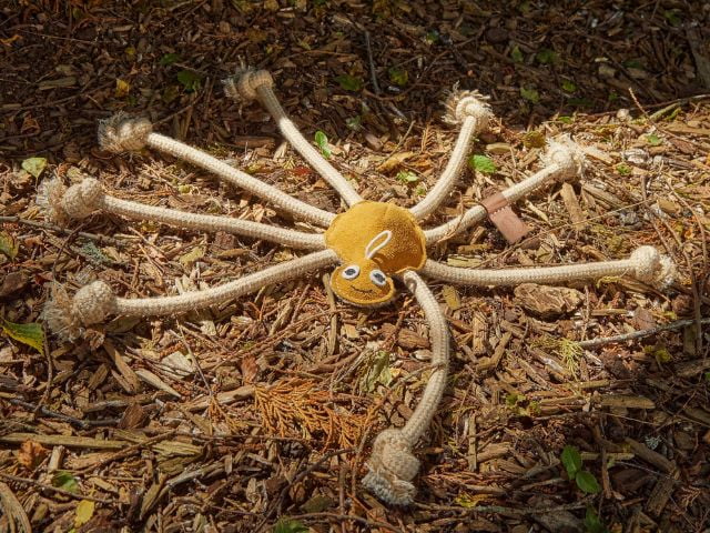 Green & Wilds Lily Longlegs