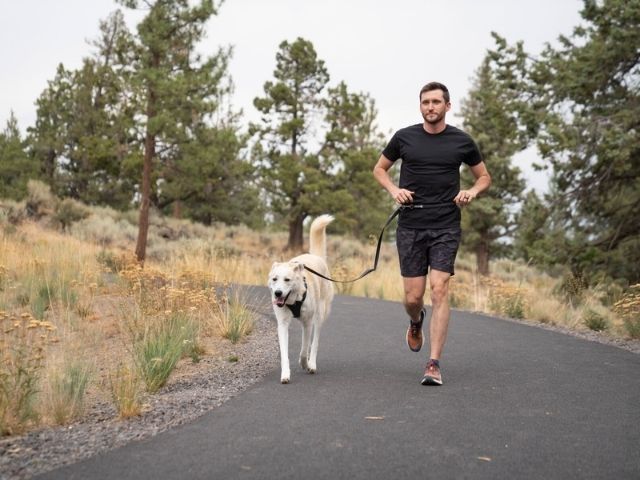 Ruffwear Switchbak Justerbar Line, Basalt Gray