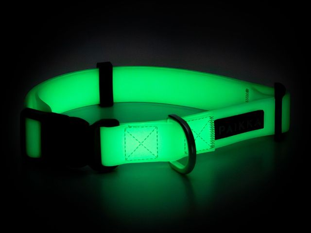Paikka Glow Collar