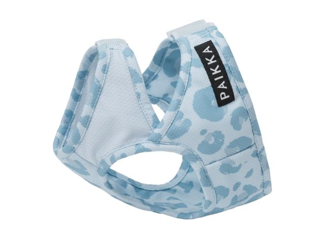 Paikka Kølevest, Snow Leo