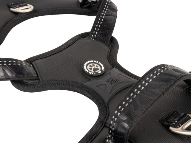 Max & Molly Matrix 2.0 Neopren Sport Sele, Black