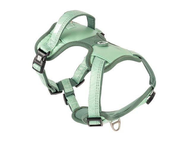 Max & Molly Matrix 2.0 Neopren Sport Sele, Jade